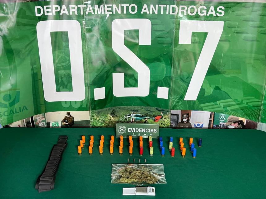 PUTAENDO: Incautan marihuana y municiones: dos detenidos tras operativo del O.S.7