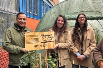 CALLE LARGA: Cuatro establecimientos educacionales de Calle Larga se suman al programa Sello Alianza Ambiental
