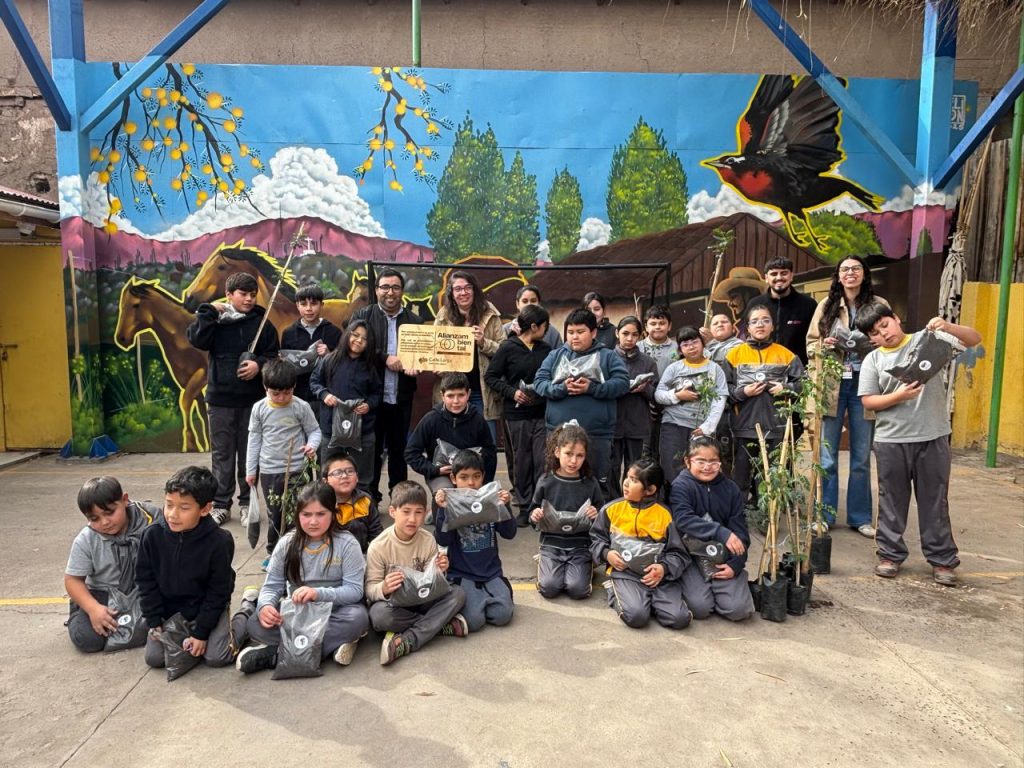 CALLE LARGA: Cuatro establecimientos educacionales de Calle Larga se suman al programa Sello Alianza Ambiental 3 CALLE LARGA: Cuatro establecimientos educacionales de Calle Larga se suman al programa Sello Alianza Ambiental