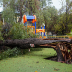 LOS ANDES: SLEP Los Andes evalúa daños por el sistema frontal: árbol caído e inundaciones entre las principales afectaciones