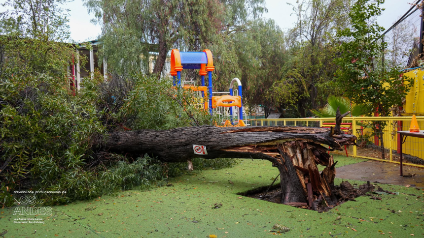 LOS ANDES: SLEP Los Andes evalúa daños por el sistema frontal: árbol caído e inundaciones entre las principales afectaciones