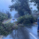 LLAY LLAY: Tránsito suspendido en camino Santa Rosa–El Porvenir por caída de un árbol