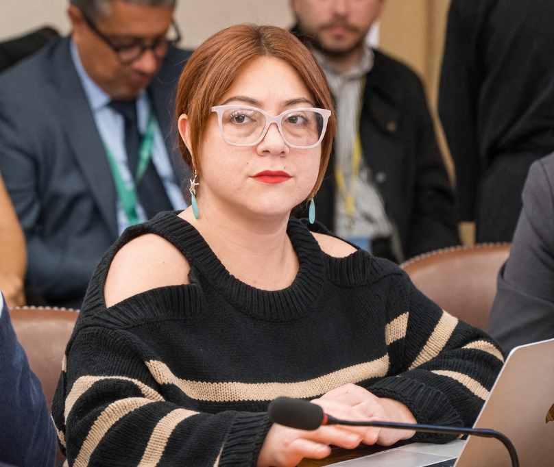 PUTAENDO: Diputada Francisca Bello oficia al Seremi de Minería por dichos sobre Vizcachitas y cuestiona su imparcialidad ante una futura evaluación ambiental