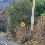 RINCONADA: Vecinos alertan por peligroso cable de media tensión caído desde hace una semana entre Rinconada y Calle Larga