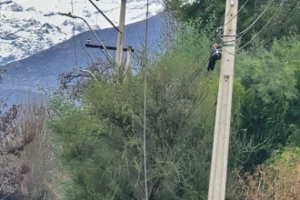 RINCONADA: Vecinos alertan por peligroso cable de media tensión caído desde hace una semana entre Rinconada y Calle Larga