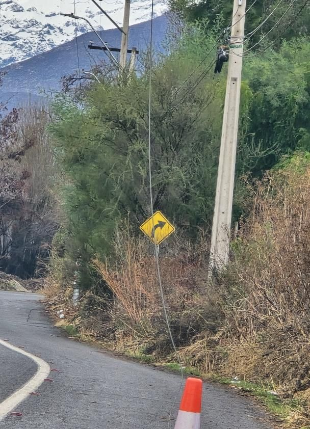 RINCONADA: Vecinos alertan por peligroso cable de media tensión caído desde hace una semana entre Rinconada y Calle Larga