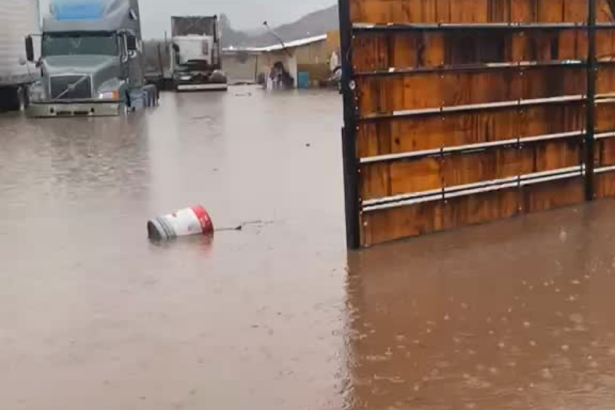 PUTAENDO: [VIDEO] Vecina de Rinconada de Silva pide ayuda urgente tras tres días de inundaciones