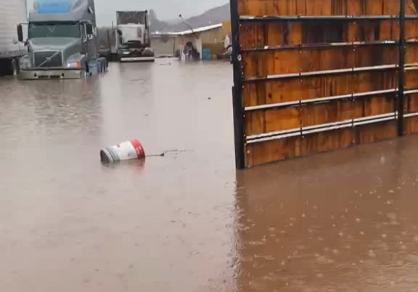PUTAENDO: [VIDEO] Vecina de Rinconada de Silva pide ayuda urgente tras tres días de inundaciones