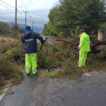 PANQUEHUE: Municipio despliega cuadrillas en distintos sectores tras paso del sistema frontal