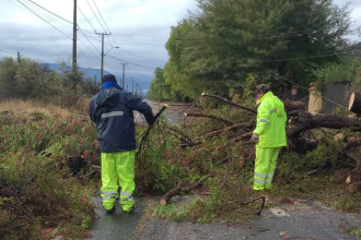 PANQUEHUE: Municipio despliega cuadrillas en distintos sectores tras paso del sistema frontal