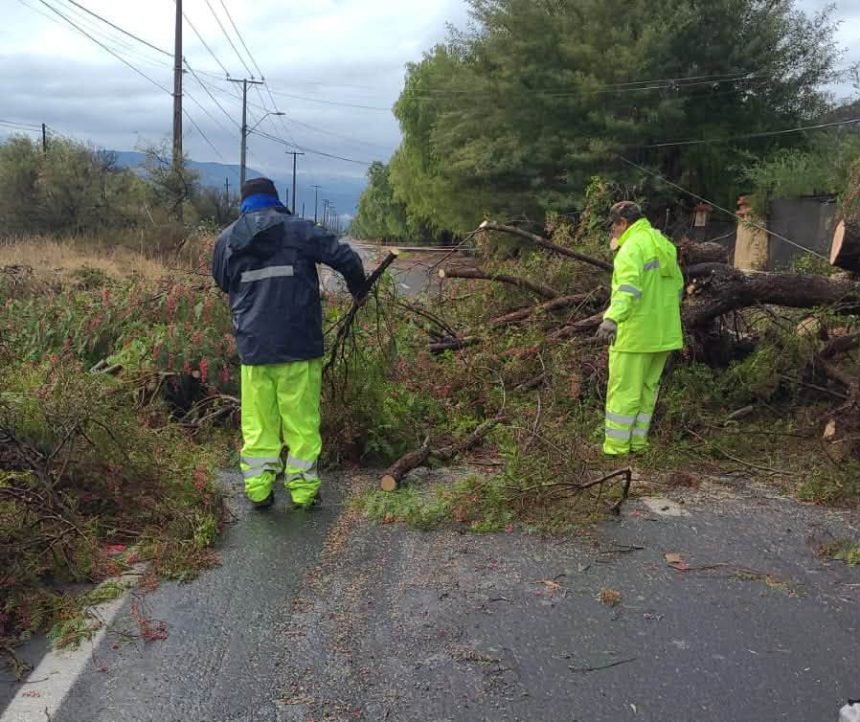 PANQUEHUE: Municipio despliega cuadrillas en distintos sectores tras paso del sistema frontal