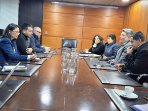 ACONCAGUA: Autoridades exigen a la SEC acelerar la reposición del suministro eléctrico en sectores afectados del Valle de Aconcagua
