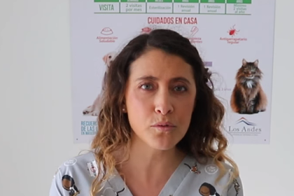 ACONCAGUA: Veterinaria Marcela Toro Guzmán asume como nueva jefa de la Autoridad Sanitaria del Valle de Aconcagua