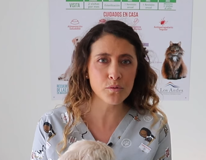 ACONCAGUA: Veterinaria Marcela Toro Guzmán asume como nueva jefa de la Autoridad Sanitaria del Valle de Aconcagua