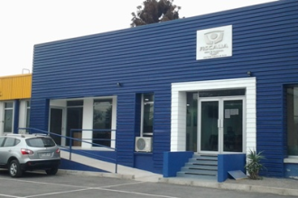 SAN ESTEBAN: Conductor habría atropellado y lesionado a mujer en San Esteban: Fiscalía solicitó audiencia para formalizar investigación