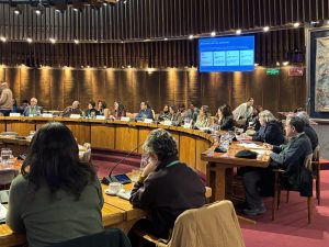 CALLE LARGA: Alcaldesa de Calle Larga expuso Plan Comunal de Prevención del Cáncer en importante encuentro nacional realizado en la CEPAL