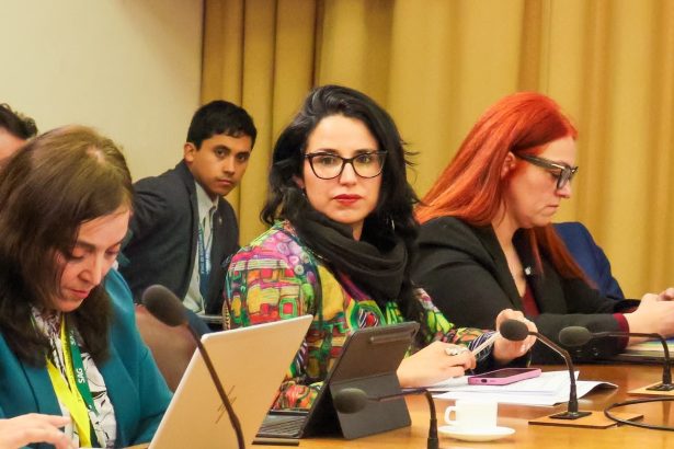 REGIONAL: Diputada Sofía González: “no podemos justificar la matanza de perros de libre deambular” por personas irresponsables que los han abandonado
