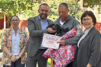 SAN FELIPE: Concejal Basilio Muena valora aprobación unánime de ordenanza de tenencia responsable de mascotas en San Felipe