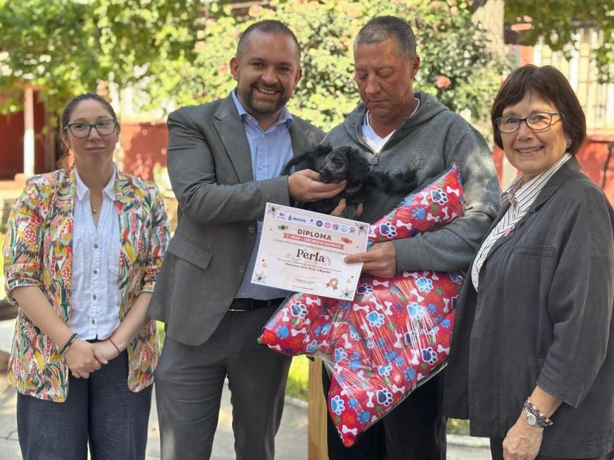 SAN FELIPE: Concejal Basilio Muena valora aprobación unánime de ordenanza de tenencia responsable de mascotas en San Felipe