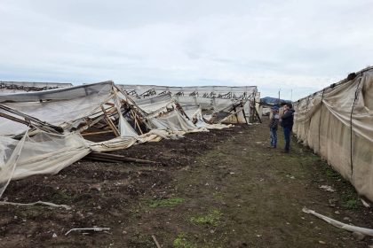 REGIONAL: INDAP destina más de $350 millones para recuperar predios agrícolas afectados por el sistema frontal
