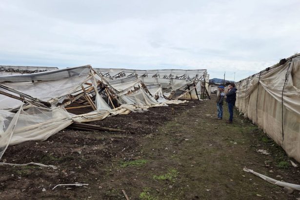 REGIONAL: INDAP destina más de $350 millones para recuperar predios agrícolas afectados por el sistema frontal