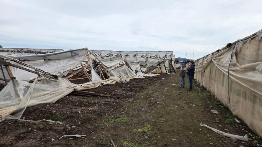 REGIONAL: INDAP destina más de $350 millones para recuperar predios agrícolas afectados por el sistema frontal