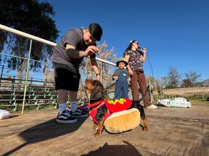 CALLE LARGA: Fiesta Canina de Calle Larga reunió a familias y sus mascotas en una jornada de tenencia responsable