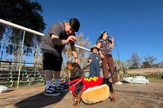 CALLE LARGA: Fiesta Canina de Calle Larga reunió a familias y sus mascotas en una jornada de tenencia responsable