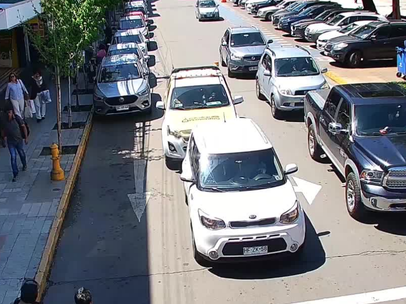 SAN FELIPE:[VIDEO] Detienen a sujeto tras robarle a una adulta mayor en pleno centro de San Felipe