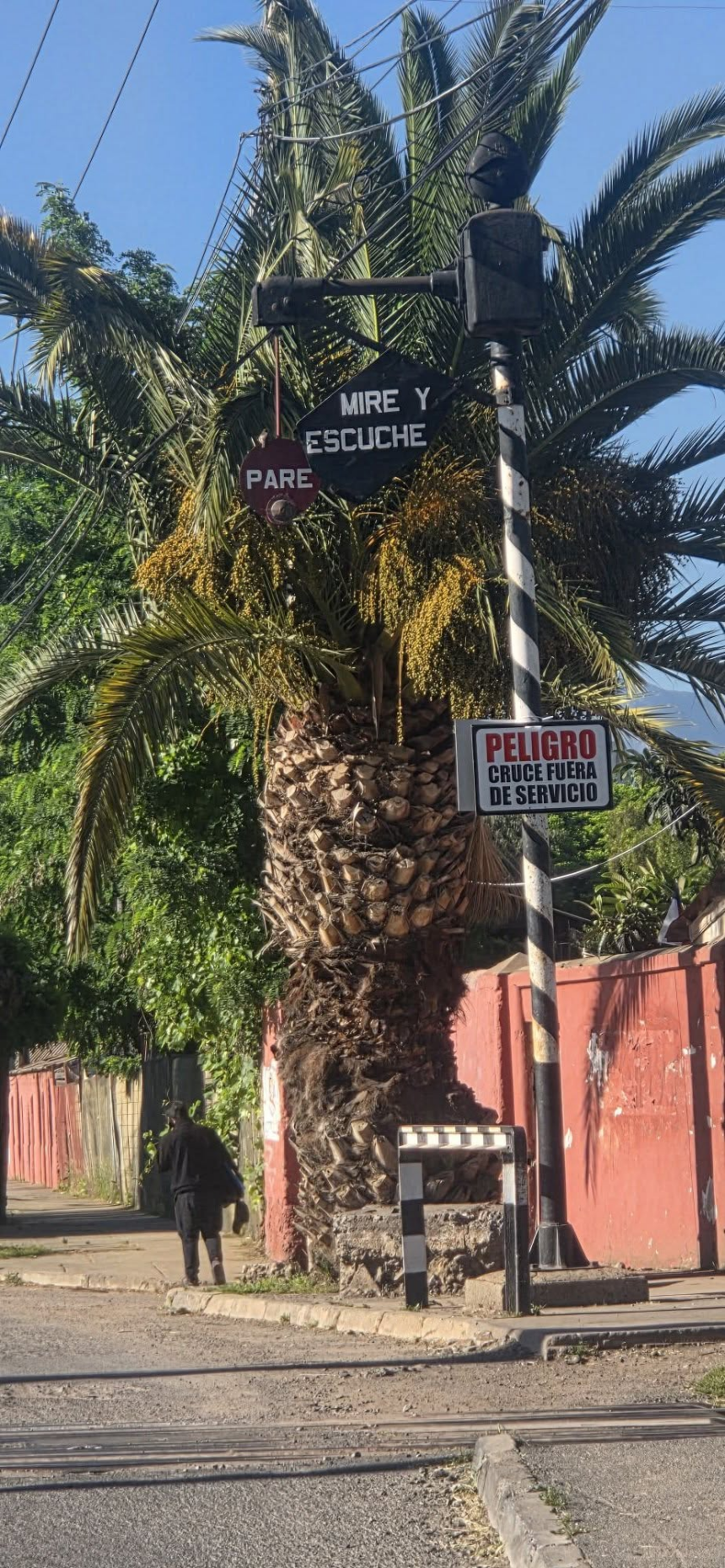 LLAY LLAY: Advierten falla en sistema de señalización automática en cruce Vicuña Mackenna.